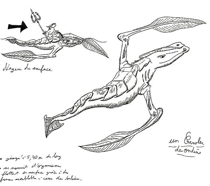 Un Nageur, par Tybalt : -Jusqu'à 5,70m de long -se nourrit d'organismes flottant en surface grâce à des fanons semblables à ceux des baleines.