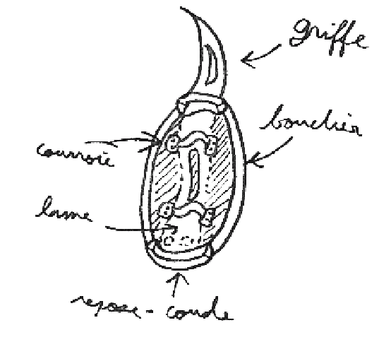 Sch&eacute;ma technique d'une tijna