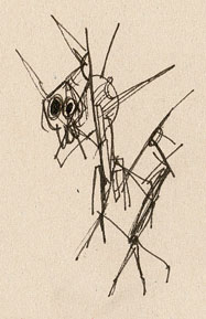 autre croquis repr&eacute;sentant un corps de Leugho &agrave; peu pr&egrave;s termin&eacute;