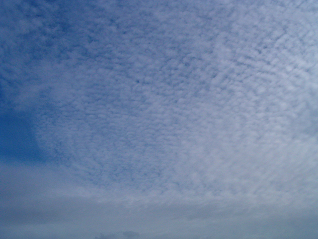 Vue du dessous, une de ces vastes &eacute;tendues de micronuages que seuls les Vagabonds aiment &agrave; explorer en sautant de nuages en nuages &agrave; dos de Yarech. Photo de l'a&eacute;ronaute Tybalt.
