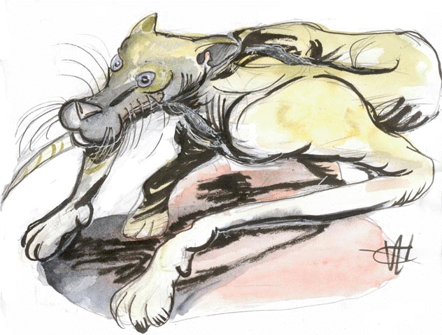 Poëtigre, par Loonce Selagnes - Cliquez pour agrandir !