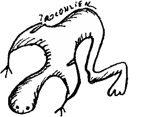 Troconlien croqu&eacute; par Loonce Selagnes