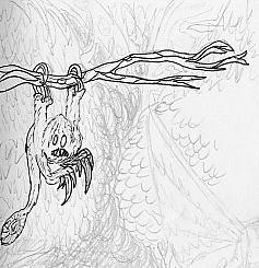 Un ugraad - dessin de Tybalt